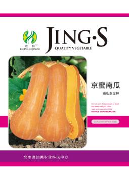 京蜜南瓜——澳加美系列