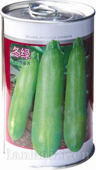 冬绿——澳加美系列