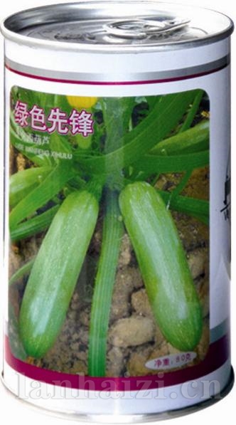 绿色先锋——澳加美系列