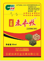  康勃 麦丰收