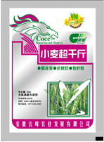  小麦超千斤