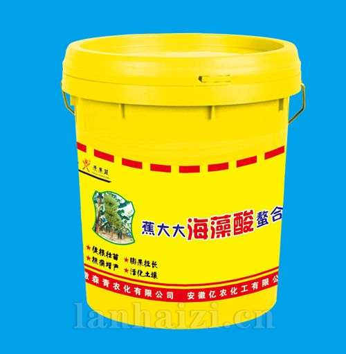 海藻酸螯合肥黄桶卧