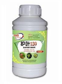护叶120