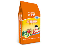 山东沃夫特