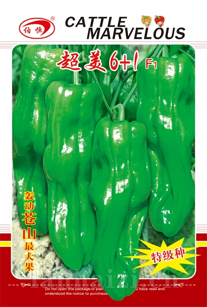 供应超美6+1——泡椒种子