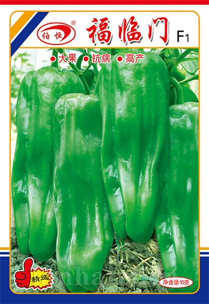供应福临门——泡椒种子