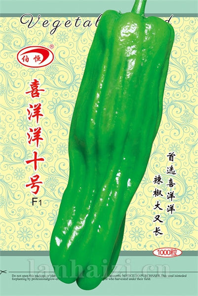 供应喜洋洋十号—辣椒种子