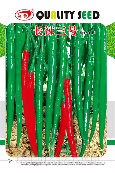 供应长辣三号—辣椒种子