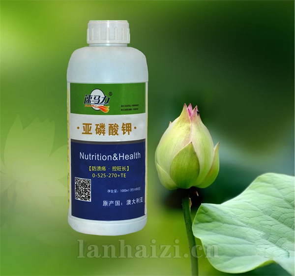 1L亚磷酸钾