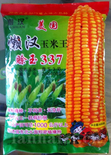 供应赊玉337—菜用玉米种子