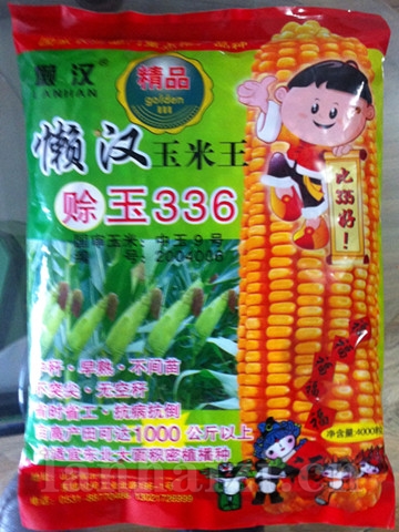  供应赊玉336—菜用玉米种子