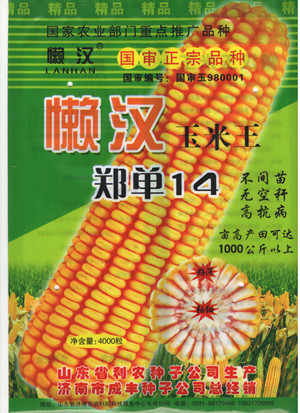  供应郑单14—菜用玉米种子