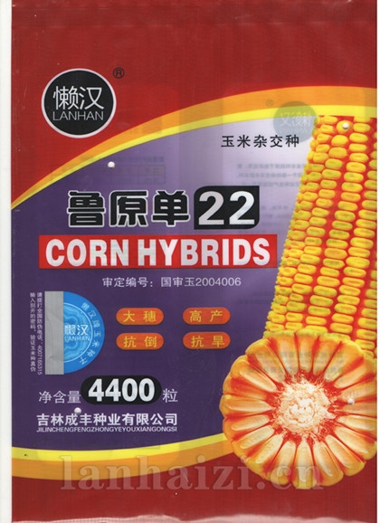 供应鲁原单22—菜用玉米种子