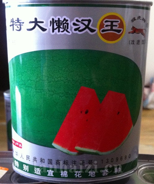 供应特大懒汉王—西瓜种子