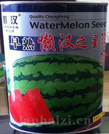 供应早熟懒汉之星—西瓜种子