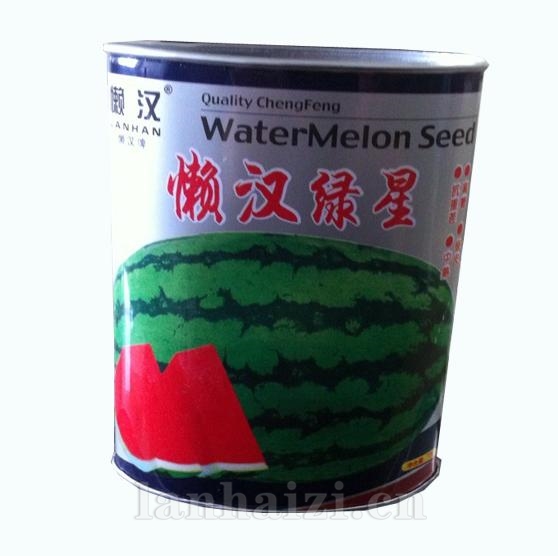 供应懒汉绿星