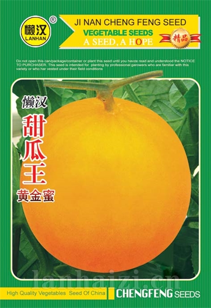 供应黄金蜜—甜瓜种子