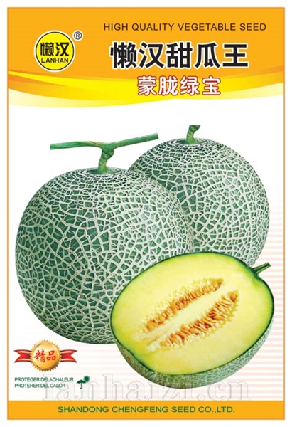 供应朦胧绿宝—甜瓜种子