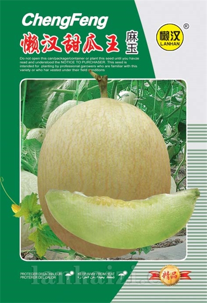 供应麻玉—甜瓜种子