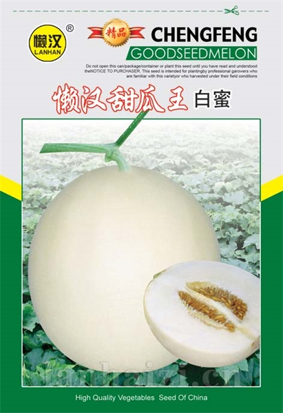 供应白蜜宝—大富农椭圆形白皮特抗病超甜品种
