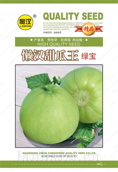  供应绿宝河南博士—甜瓜种子