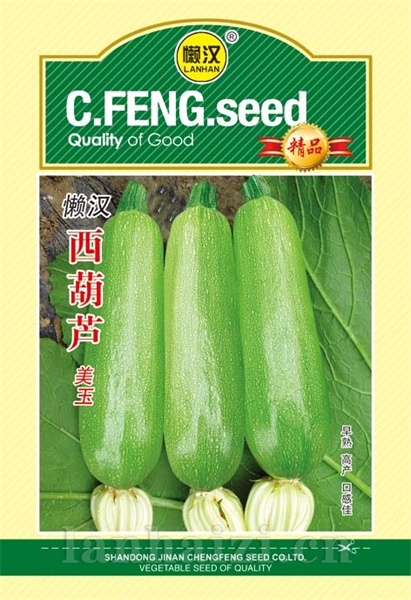  供应西葫芦-----美玉
