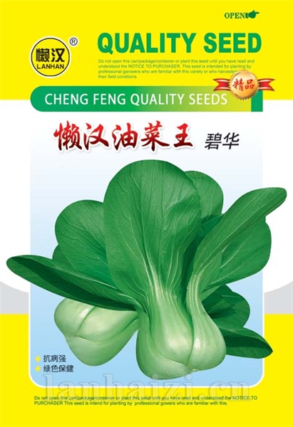 供应油菜 ----碧华