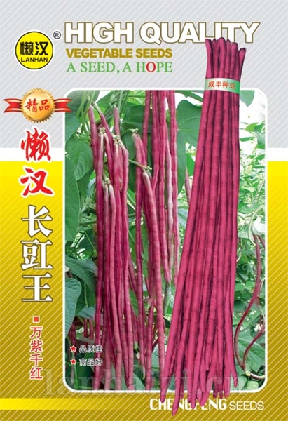  供应红豇豆---万紫千红