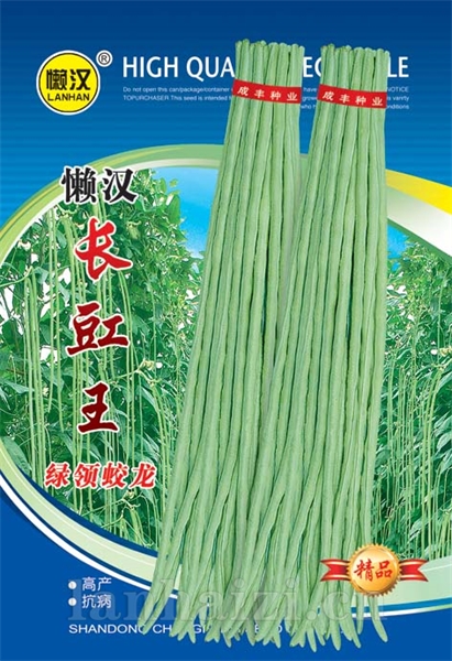 供应绿豇豆----绿领蛟龙