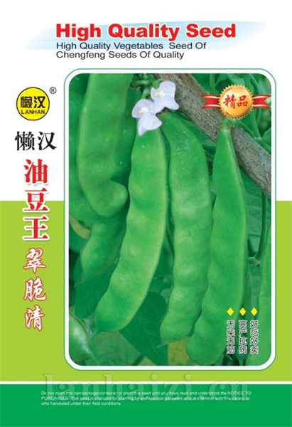  供应油豆-----翠脆清