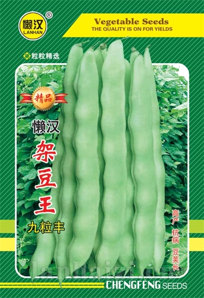  供应绿架豆--九粒丰