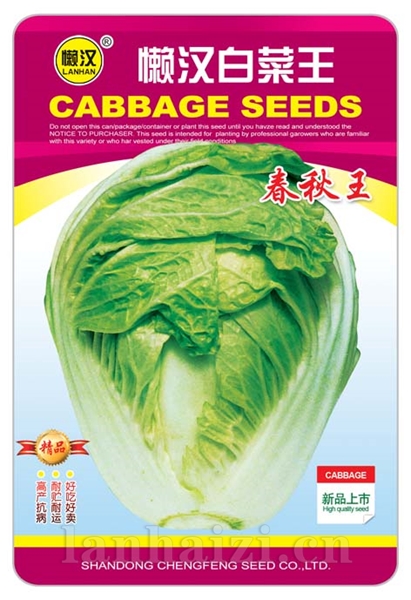供应懒汉白菜王-春秋王