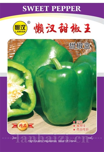  供应懒汉甜椒王