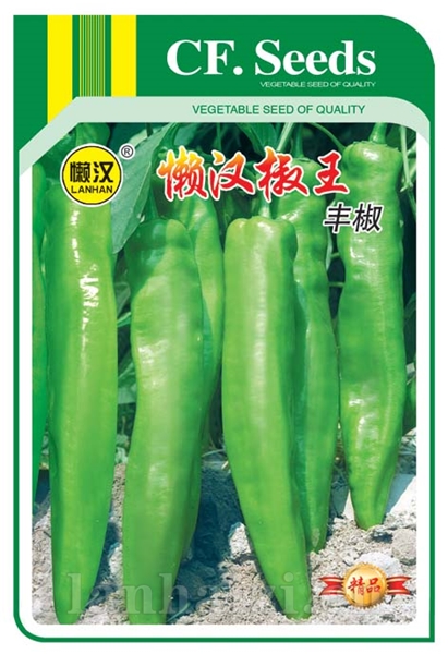 供应牛角椒-----丰椒