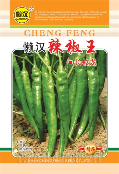  供应绿辣椒------长蛟龙