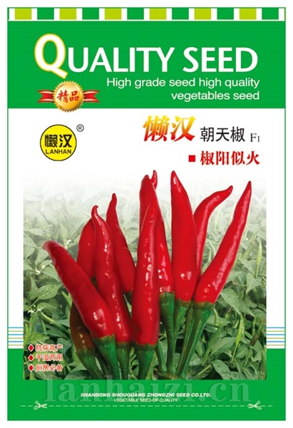  供应朝天椒----椒阳似火