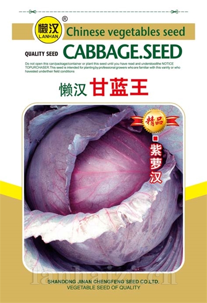  供应紫甘蓝-----紫罗汉