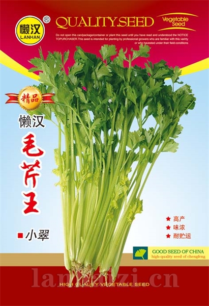  供应毛芹——小翠