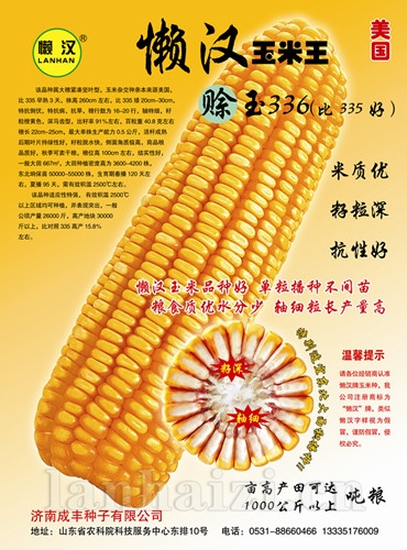 赊玉336—玉米种子
