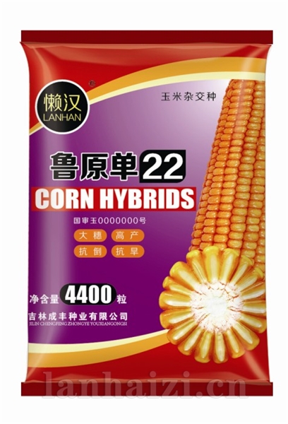  鲁原单22—玉米种子
