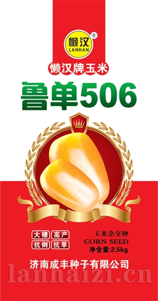  鲁单506—玉米种子
