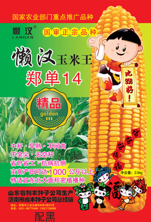 懒汉玉米郑单14—玉米种子