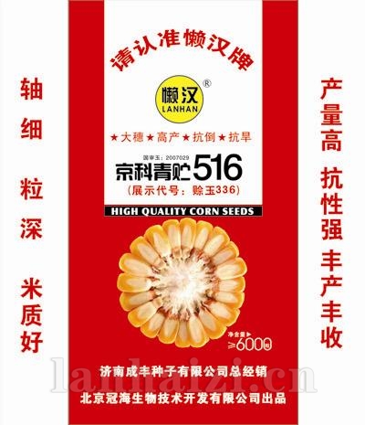 京科青贮516—玉米种子