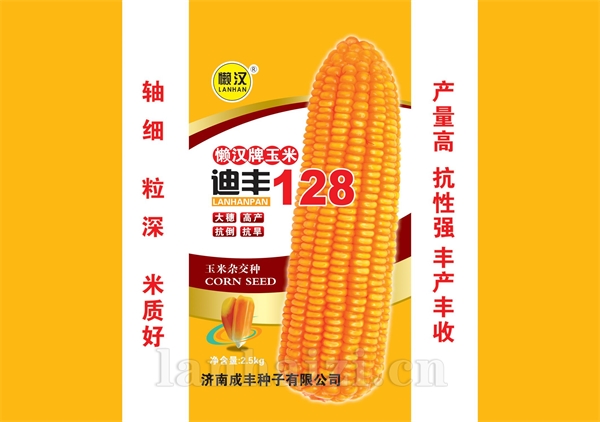 懒汉迪丰128—玉米种子
