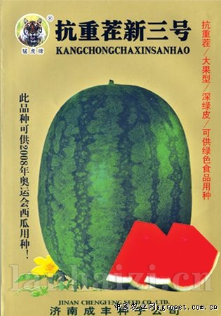 供应抗重茬新三号—西瓜种子