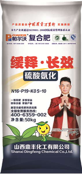 N16-P19 S-10