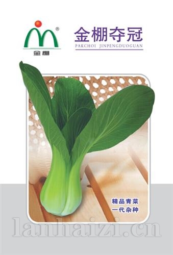 金棚鑫冠青梗菜