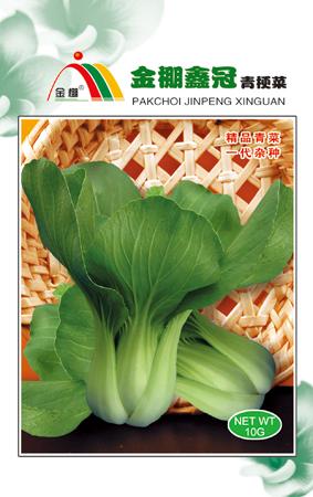 金棚鑫冠青梗菜