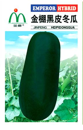 金棚黑皮冬瓜