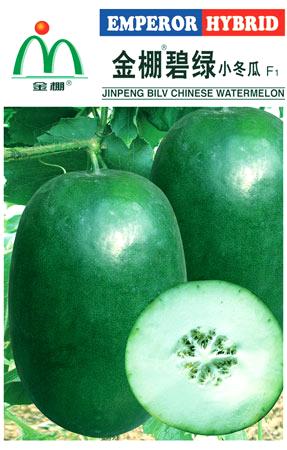 金棚碧绿小冬瓜